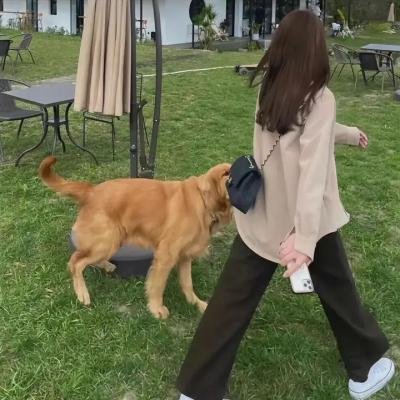 爱莲妹妹